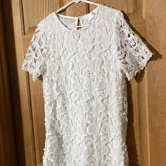 Gray + Bleu White Lace Sheath Mini Dress with Crew Neck and Short Sleeves Large - Picture 3 of 10